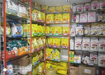 Darnich-dog-articles-Pet-stores-Mira-bhayandar-Maharashtra-3