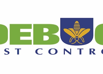 Debug-pest-solution-Pest-control-services-Shivaji-nagar-nanded-Maharashtra-2