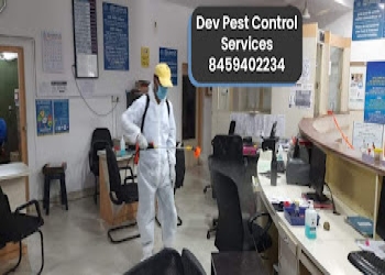 Dev-pest-control-services-Pest-control-services-Sadar-nagpur-Maharashtra-2