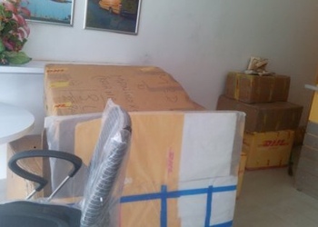 Dhl-express-india-pvt-ltd-Courier-services-Balmatta-mangalore-Karnataka-3