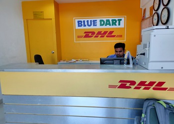 Dhl-express-india-pvt-ltd-Courier-services-Kankanady-mangalore-Karnataka-2