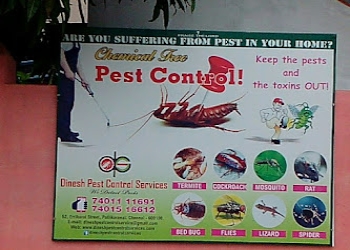 Dinesh-pest-control-services-Pest-control-services-Koyambedu-chennai-Tamil-nadu-2