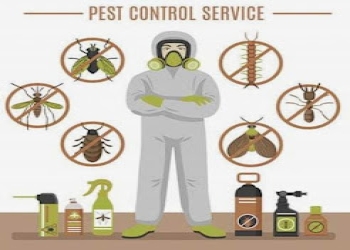 Dk-pest-services-Pest-control-services-Vadodara-Gujarat-2