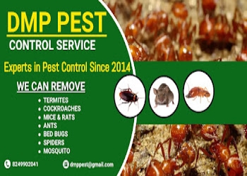 Dmp-pest-control-services-Pest-control-services-Balasore-Odisha-2