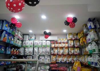 Dog-tales-Pet-stores-Vadodara-Gujarat-2