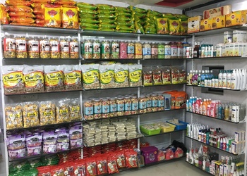 Dog-zone-Pet-stores-Ellis-bridge-ahmedabad-Gujarat-2