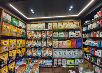 Doga-holics-the-pet-shop-Pet-stores-Vadodara-Gujarat-2