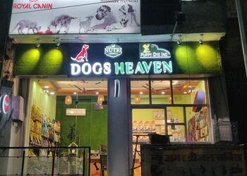 Dogs-heaven-Pet-stores-Civil-lines-jaipur-Rajasthan-1