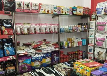 Dogs-heaven-Pet-stores-Civil-lines-jaipur-Rajasthan-3