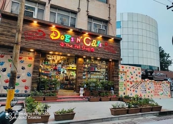 Dogs-n-cats-the-pet-shop-Pet-stores-Noida-Uttar-pradesh-1