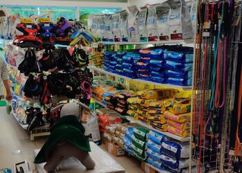 Dogs-world-india-Pet-stores-Manpada-kalyan-dombivali-Maharashtra-2