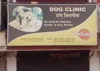 Dr-amol-salankars-dog-clinic-Veterinary-hospitals-Lakadganj-nagpur-Maharashtra-1