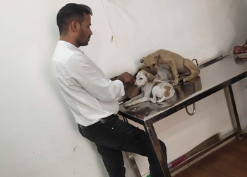 Dr-dev-pet-hospital-Veterinary-hospitals-Ajmer-Rajasthan-3