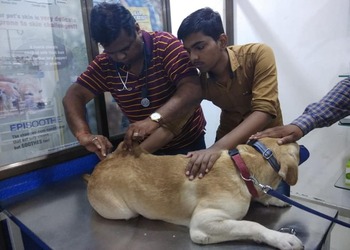 Dr-sonis-pet-clinic-Veterinary-hospitals-Athwalines-surat-Gujarat-2