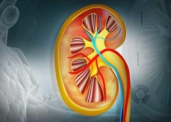 Dr-upal-sengupta-Kidney-specialist-doctors-Kolkata-West-bengal-3