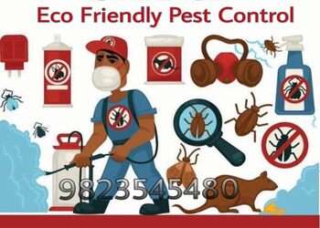 Eco-friendly-pest-control-Pest-control-services-Bhosari-pune-Maharashtra-1