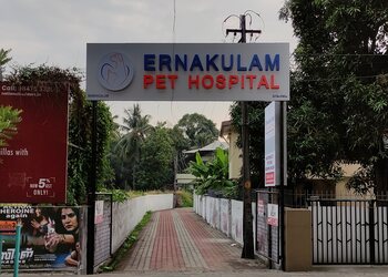 Ernakulam-pet-hospital-Veterinary-hospitals-Aluva-kochi-Kerala-1