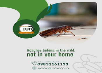 Eurow-care-cure-llp-Pest-control-services-Uluberia-West-bengal-2