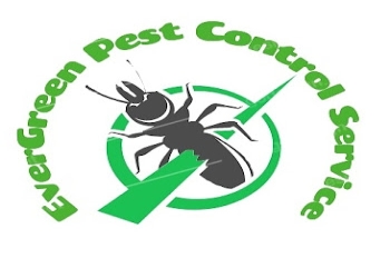 Evergreen-pest-control-services-Pest-control-services-Tiruchirappalli-Tamil-nadu-1