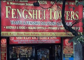 Fengshuie-towers-vaastu-fengshui-Feng-shui-consultant-Alipore-kolkata-West-bengal-1