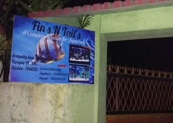 Fins-n-tails-Pet-stores-Silchar-Assam-1