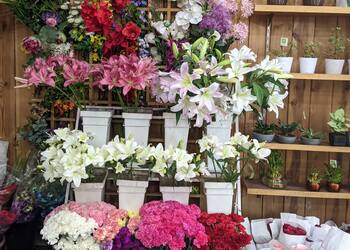 Fnp-Flower-shops-New-delhi-Delhi-3