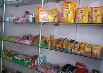 Fur-feather-fins-Pet-stores-Korba-Chhattisgarh-3