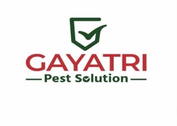 Gayatri-pest-solution-Pest-control-services-Memnagar-ahmedabad-Gujarat-1