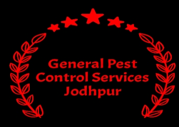 General-pest-control-services-jodhpur-Pest-control-services-Jodhpur-Rajasthan-1