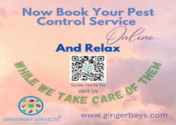 Gingerbay-services-Pest-control-services-Choolaimedu-chennai-Tamil-nadu-2