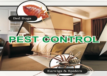 Global-india-pest-control-services-Pest-control-services-Panipat-Haryana-1