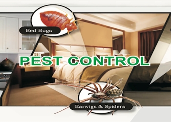 Global-india-pest-control-services-Pest-control-services-Rohtak-Haryana-1