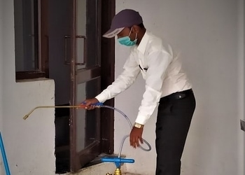 Global-pest-and-facility-management-Pest-control-services-Agra-Uttar-pradesh-2