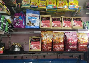 Golden-pets-Pet-stores-Vijayawada-Andhra-pradesh-2