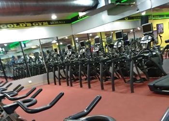 Golds-gym-Gym-Mohali-Punjab-2