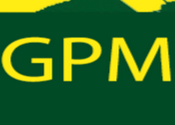 Gpm-pest-management-Pest-control-services-Guru-teg-bahadur-nagar-jalandhar-Punjab-1