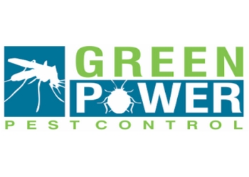 Green-power-pest-control-kalyan-Pest-control-services-Kalyan-dombivali-Maharashtra-1