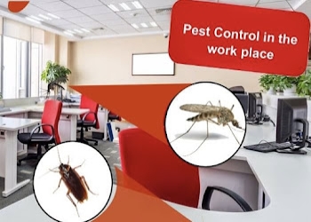 Greenshield-pest-solutions-Pest-control-services-Warje-pune-Maharashtra-2