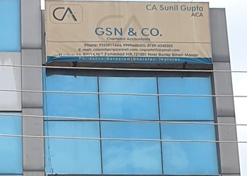 Gsn-co-Tax-consultant-Sector-12-faridabad-Haryana-1