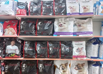 Happy-pets-Pet-stores-Shivaji-nagar-nanded-Maharashtra-2