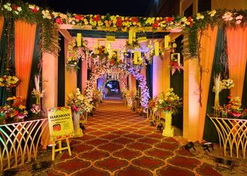 Harmony-wedding-planner-Wedding-planners-Mohali-Punjab-3