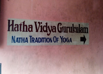 Hatha-vidya-gurukulam-Yoga-classes-Malappuram-Kerala-1