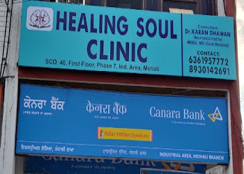 Healing-soul-clinic-Psychiatrists-Mohali-Punjab-1