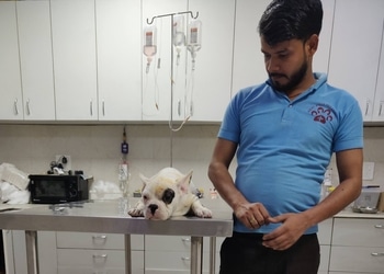 Healwell-pet-clinic-Veterinary-hospitals-Sector-41-noida-Uttar-pradesh-3