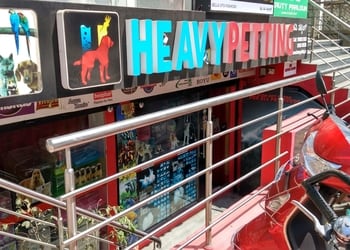 Heavy-petting-Pet-stores-Btm-layout-bangalore-Karnataka-1