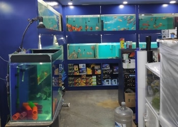 Heavy-petting-Pet-stores-Btm-layout-bangalore-Karnataka-2