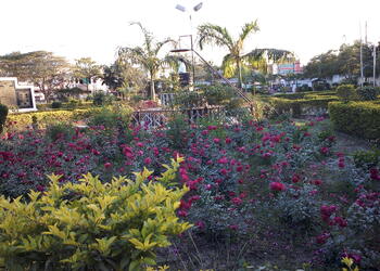 Hemu-kalani-park-Public-parks-Satna-Madhya-pradesh-3