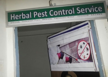 Herbal-pest-control-Pest-control-services-Bhelupur-varanasi-Uttar-pradesh-1