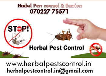 Herbal-pest-control-services-Pest-control-services-Koramangala-bangalore-Karnataka-1