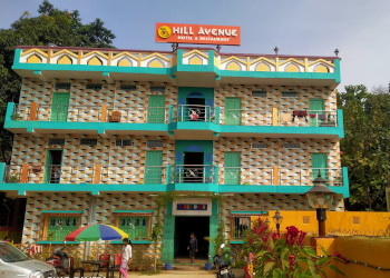 Hill-avenue-hotel-restaurant-Family-restaurants-Purulia-West-bengal-1